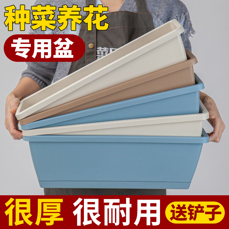 阳台长方形花盆家庭神器塑料吸水草莓种菜蔬菜种植箱托盘清仓盆栽