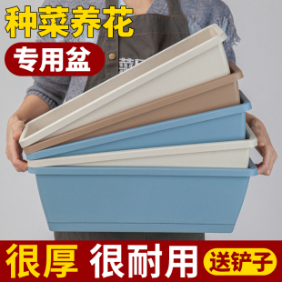 阳台长方形花盆家庭神器塑料吸水草莓种菜蔬菜种植箱托盘清仓盆栽