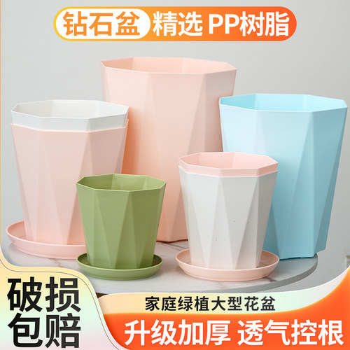 塑料轻奢高级感花盆天堂鸟特大