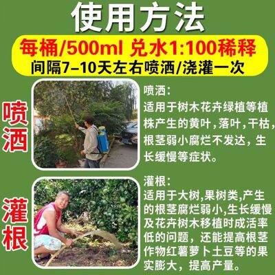 大树复活液罗汉松救树灵生根壮苗水溶肥树木移栽生根剂生根壮苗剂