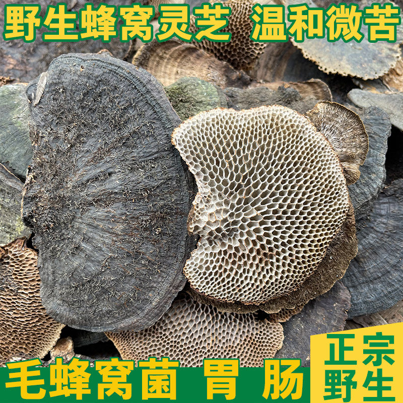 【蜂窝灵芝】野生 毛蜂窝菌 龙眼梳菌精选 煲汤煲茶250g/500g包邮