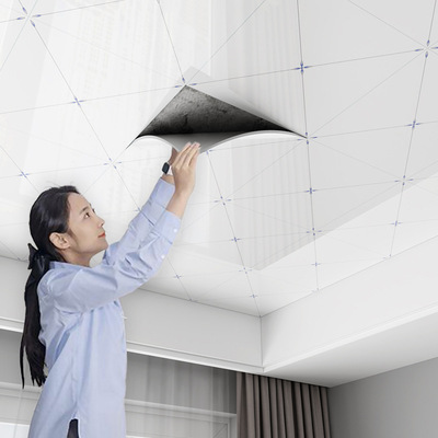 天花板贴纸自粘墙卫生间吊