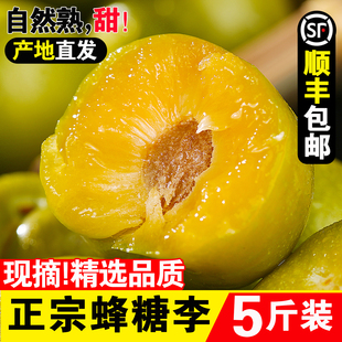 贵州正宗六马蜂糖李子5斤新鲜青脆甜脱骨当应季孕妇水果整箱特产
