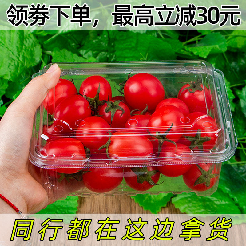 一次性水果盒透明带盖一斤装圣女果包装盒500克网红塑料打包盒子