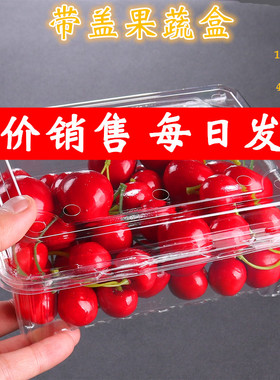水果包装盒一次性透明塑料草莓盒1斤500克装樱桃盒带盖果蔬打包盒