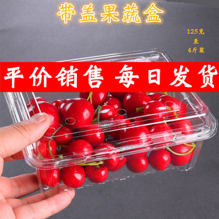 盒一次性透明塑料草莓盒1斤500克装 水果包装 樱桃盒带盖果蔬打包盒