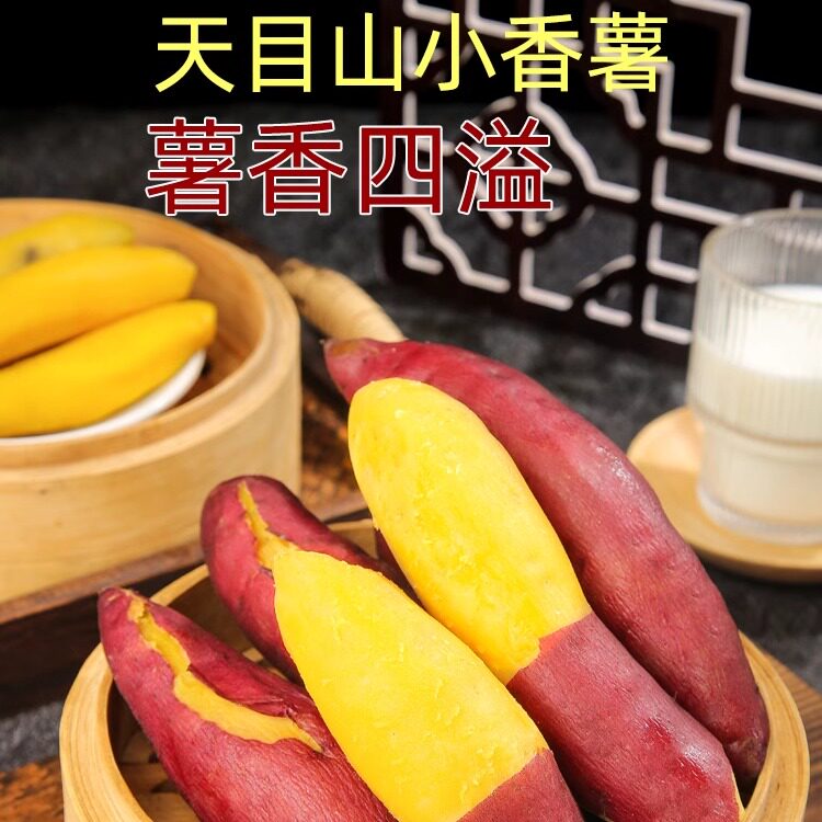 临安天目山小香薯正宗新鲜现挖图片