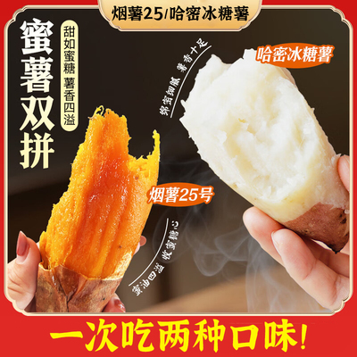 烟薯25哈密冰糖薯双拼混装