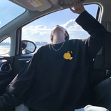 2025秋季新款长袖A336-THCT0395-P38-限价48（棉），男装T恤，电商A336
