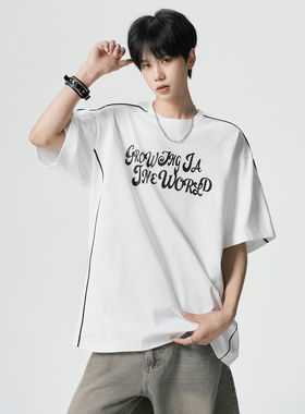 2025夏季新款短袖T恤A336- YLDX0007-P48-限价68（纯棉）