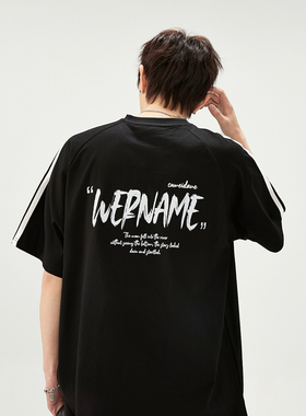 2025夏季新款短袖T恤A336- ZDDX0005-P48-限价68（纯棉）