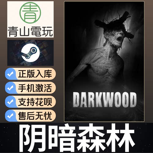 Steam正版 阴暗森林 DARKWOOD 恐怖单人游戏 国区激活码 CDKey