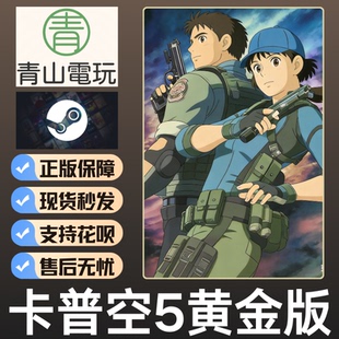 Steam正版 卡普空大作5黄金版 RE5 全DLC 国区激活码CDKey