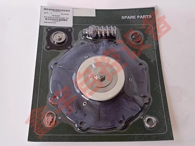 SCXE353.060 C140744电磁阀膜片SCXE353.060 电磁阀先导头