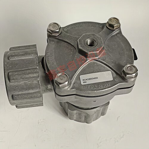 电磁脉冲阀 RCAC25FS3010（220V）RCAC25FS010-305