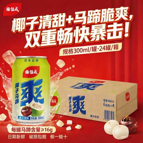 杨协成椰子风味马蹄爽300ml/罐
