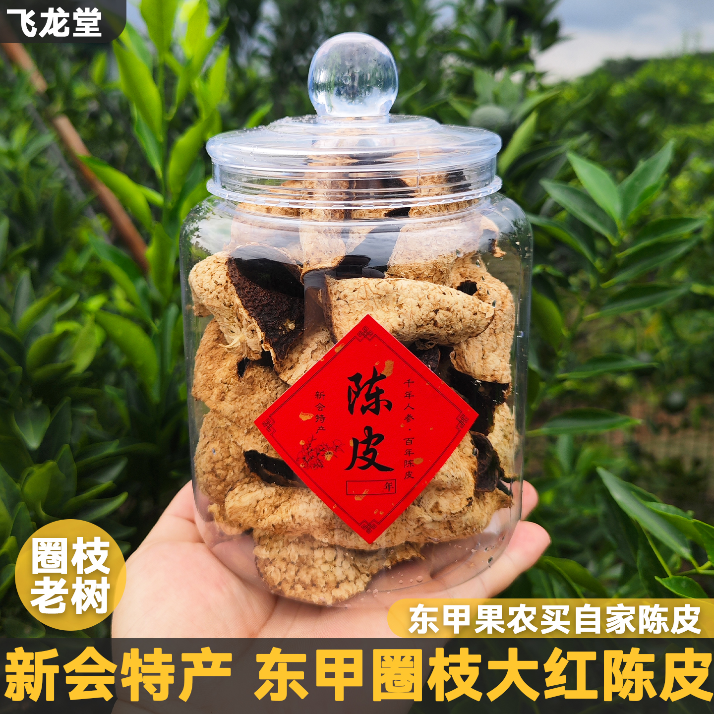 新会特产东甲圈枝陈皮瓶装