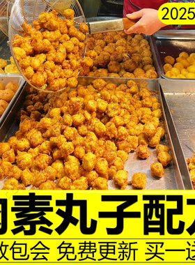 干炸丸子配方技术手工素丸子肉丸鱼丸萝卜丸子瘦肉丸做法油炸教程