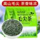 特级毛尖茶叶2025新茶正宗明前高山头采绿茶春茶栗香茶叶鲜嫩直销