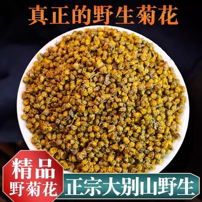野菊花正品官方旗舰店新货小野菊花中药材野生野菊花茶药用泡茶
