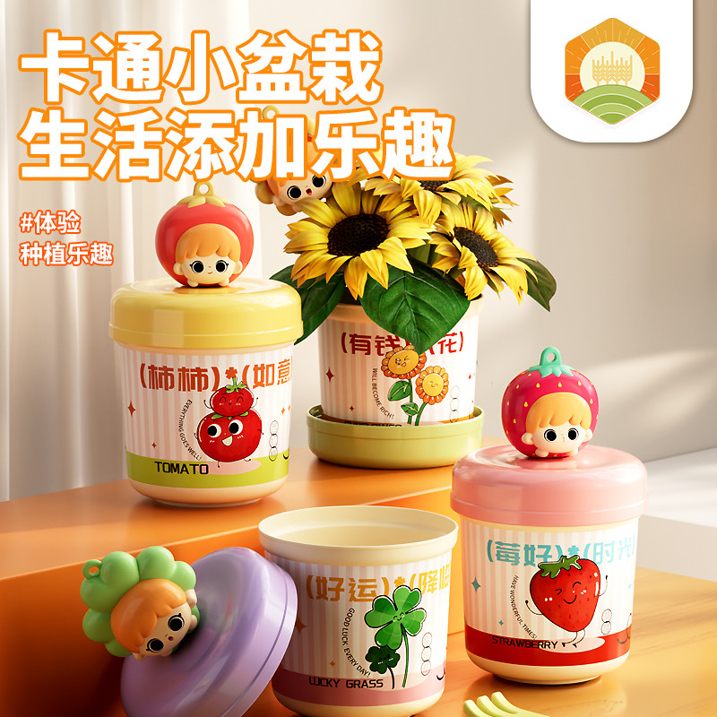 儿童种植盆栽DIY发芽草莓