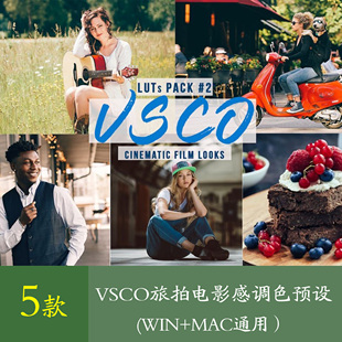 超好用的VSCO旅拍VLOG电影级xmp照片视频后期LUTs调色预设ps预设