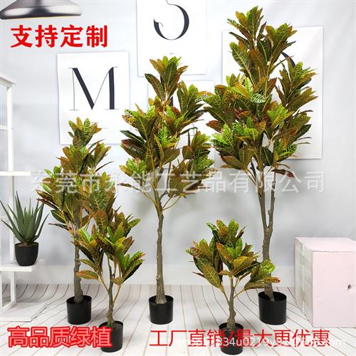 大型北欧仿真绿落地植洒金榕室内客厅盆栽植物落地仿真树网红装饰