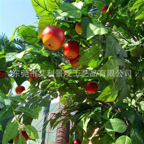 苹果树植物庭院园林商场布景果实盆景大型假树装饰绿植