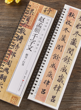 赵孟俯千字文行书楷书书法毛笔字帖元赵孟頫赵体经典碑帖书法临摹字卡原大版墨迹本成人学生近距离临帖卡附简体旁注
