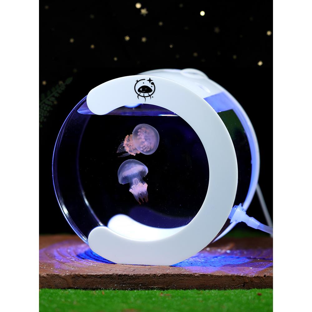 专用水母缸活物好养儿童养殖桌面小宠物迷你懒人赤月循环水族鱼缸