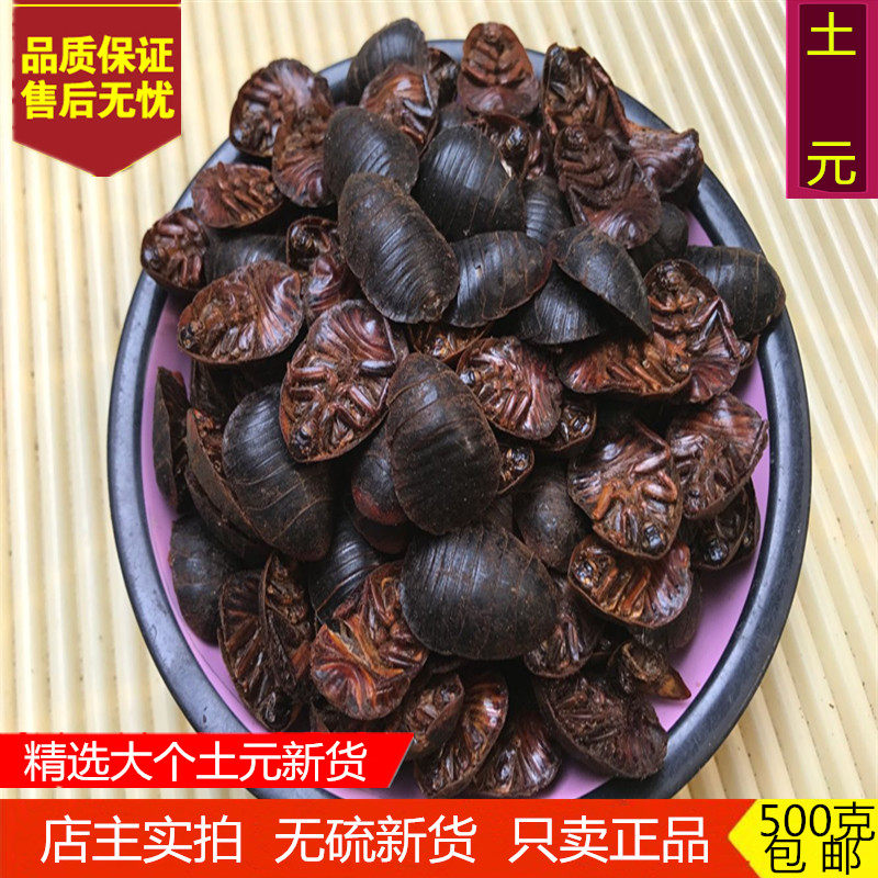 中药材土元野生地鳖虫精选大个
