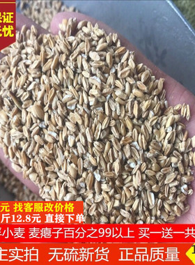 浮小麦中药材 浮小麦  浮麦 瘪小麦  1000克包邮另售甘草大枣