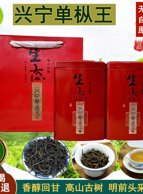兴宁单枞茶单枞王梅州客家明前茶