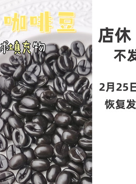 仿真咖啡豆手作球填充物手工diy材料包捏捏乐装饰物史莱姆食玩