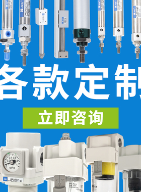 ANK非标准气缸定制 可调形成 缓冲 具体价格货期请询客服