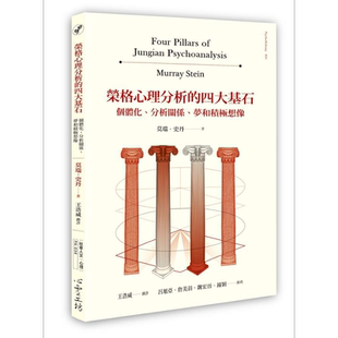荣格心理分析的四大基石 个体化 分析关系 梦和积极想象 港台原版 莫瑞史丹 心灵工坊
