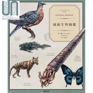 森乃おと 灭绝生物图鉴 赵烨 知名人体彩绘画家 台湾东贩 港台原版