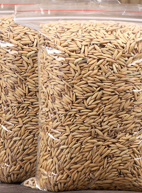 50斤带壳稻谷谷子水稻稻子粮食杂粮大米喂鸡鸭鹅鸽鸟仓鼠宠物饲料