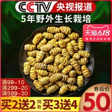 正品超霍山铁皮石斛枫斗仿 野生特级养生花茶礼盒干条中药材 500g