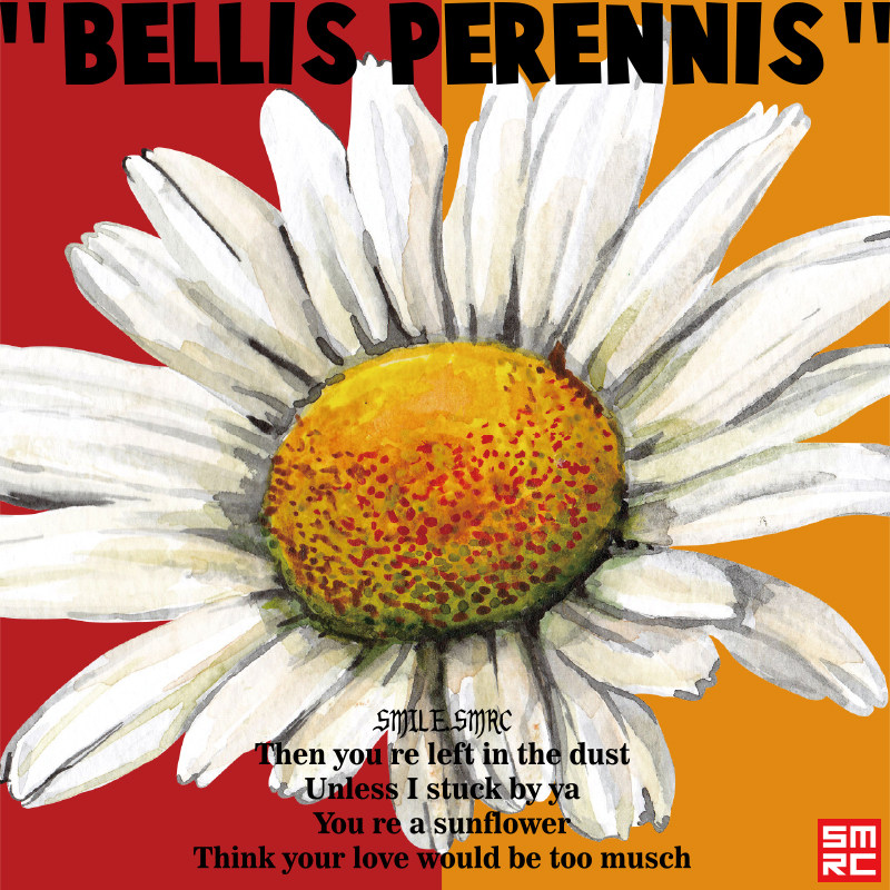 gd小雏菊权志龙联名藤原浩潮牌pmo闪电短袖情侣装太阳花t恤男情侣