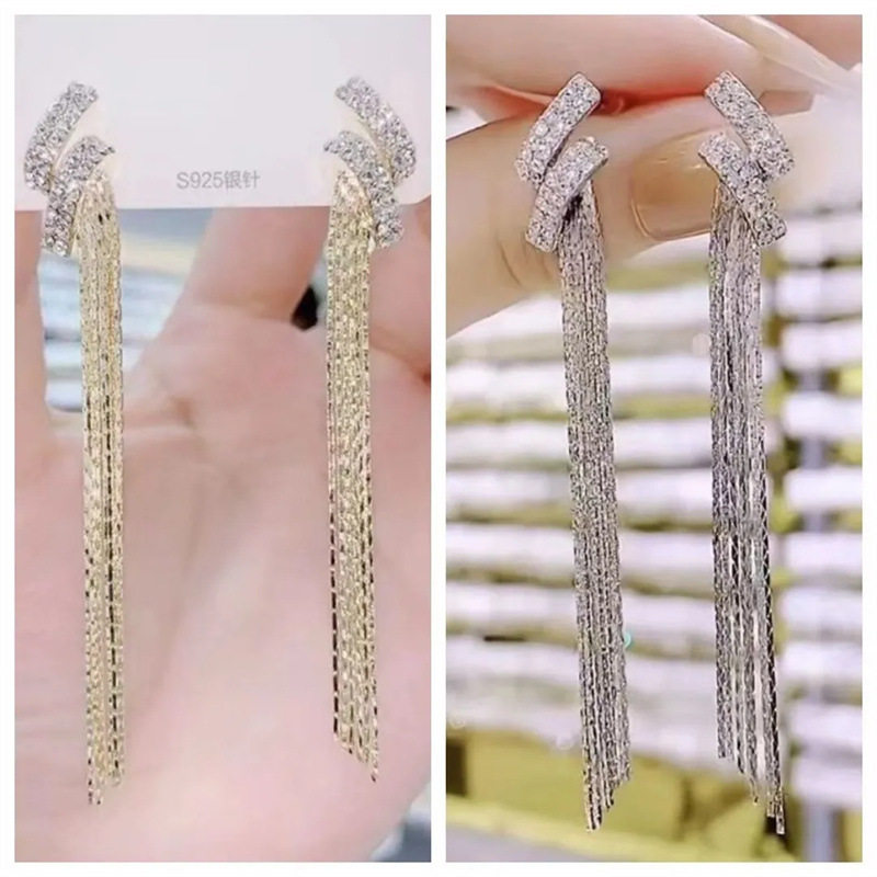 女神气质流苏耳环2024年新款潮高级感网红轻奢修饰脸型银针耳饰女