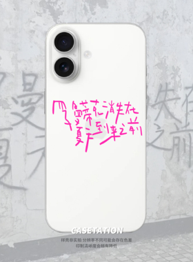 罗曼蒂克消失在夏天到来之前iPhone17pro/华为pura80mate70/vivo小米17红米k80/OPPOreno14/VIVOX300手机软壳