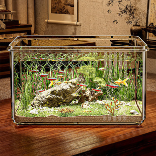 tank glass turtle imitation ecological breeding Fish