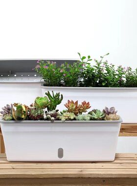 Balcony rectangular green plant flowerpot extra large box