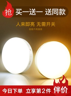 PIR Motion Sensor LED Night Light USB Rechargeable Lamp