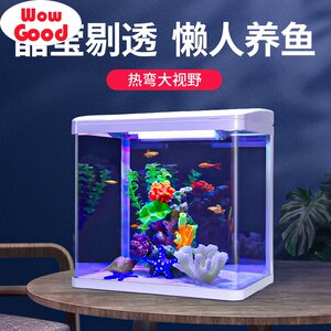 Small fish tank aquarium glass living room filter goldfish