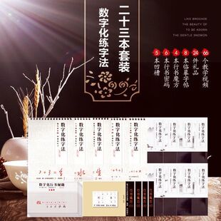 数字化练字帖行书密码成人硬笔行书书法神器行书草书速成21天高中大学生漂亮霸气男生女生字体成年手写钢笔字帖临摹本 怎样写行书