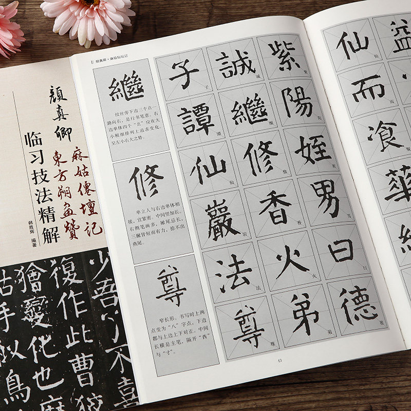 颜真卿麻姑仙坛记东方朔画赞临习技法精解 颜体楷书毛笔字帖 历代名家碑帖临习技法全解 颜真卿楷书技法