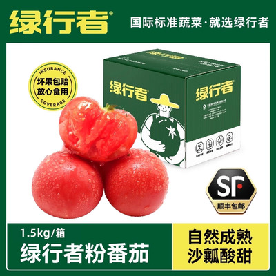 【绿行者】自然熟粉番茄西红柿