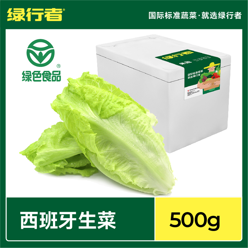 绿行者西班牙生菜新鲜爽口脆嫩